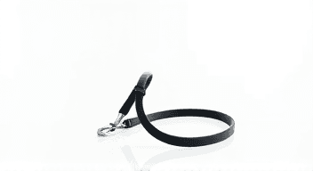 Harnesses & Leashes